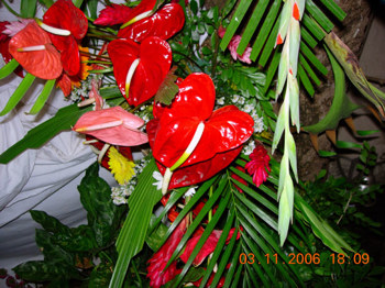 Philandsaifaleewedding Mauritius Oct To Nov 2006 Seta Colinmarkmatt 0078