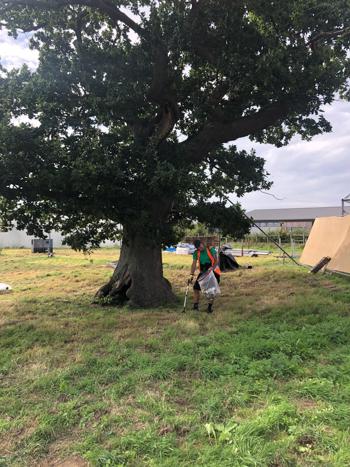 Litter Picking Under Tree