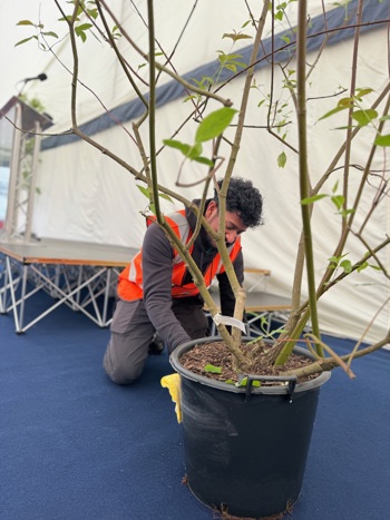 Ashwin Behind Plant